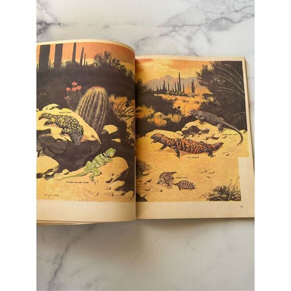 How & Why Wonder Reptiles & Amphibians vintage educational children’s book Curat - Picture 5 of 7